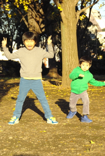 f:id:nankuruna13:20151128151508j:image