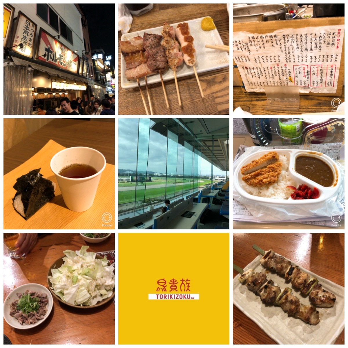 f:id:nannbyou67:20191114231425j:plain