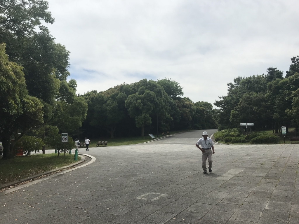 f:id:nanndemonai:20180605144954j:plain