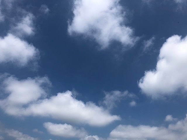 f:id:nanndemotanoshimo:20200719145458j:plain f:id:nanndemotanoshimo:20200719145458j:plain