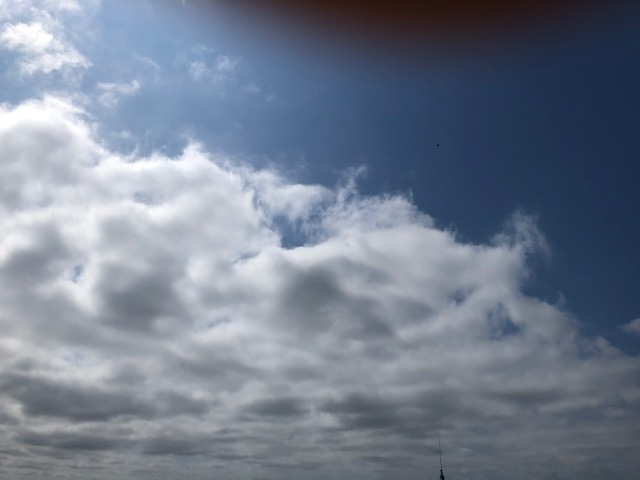 f:id:nanndemotanoshimo:20200719145527j:plain f:id:nanndemotanoshimo:20200719145527j:plain