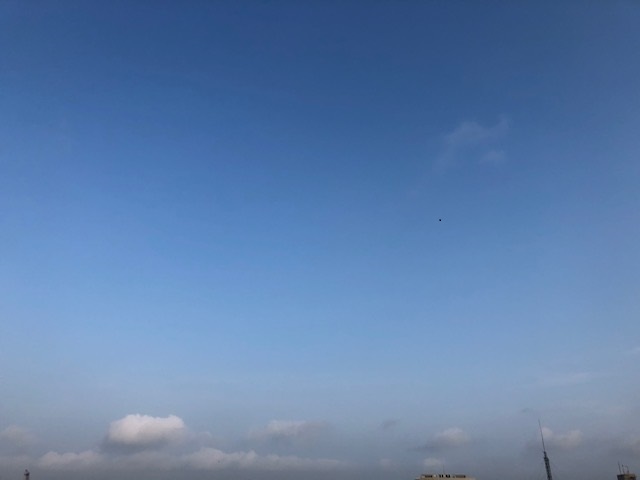 f:id:nanndemotanoshimo:20200806063112j:plain f:id:nanndemotanoshimo:20200806063112j:plain