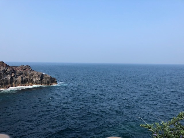 f:id:nanndemotanoshimo:20200809144826j:plain f:id:nanndemotanoshimo:20200809144826j:plain