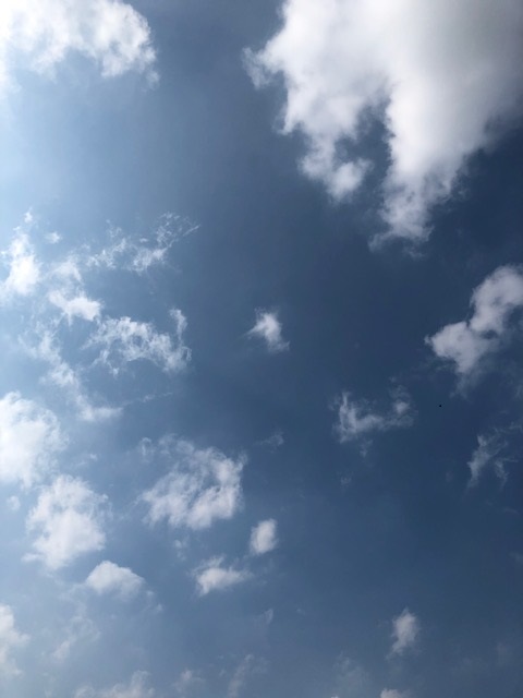 f:id:nanndemotanoshimo:20200814165642j:plain f:id:nanndemotanoshimo:20200814165642j:plain