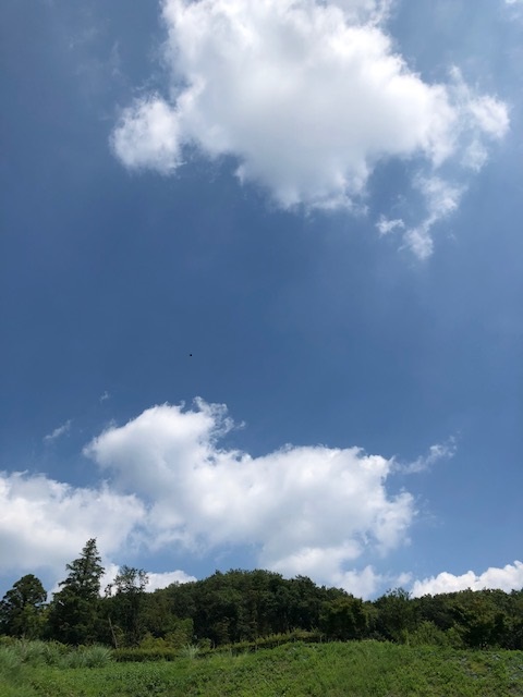 f:id:nanndemotanoshimo:20200818192548j:plain f:id:nanndemotanoshimo:20200818192548j:plain