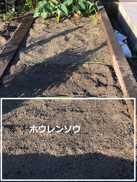 f:id:nanndemotanoshimo:20200911090541j:plain f:id:nanndemotanoshimo:20200911090541j:plain