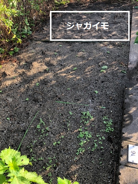 f:id:nanndemotanoshimo:20200911090624j:plain f:id:nanndemotanoshimo:20200911090624j:plain
