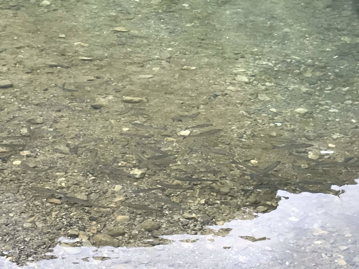 f:id:nano_ac:20190428133745j:plain