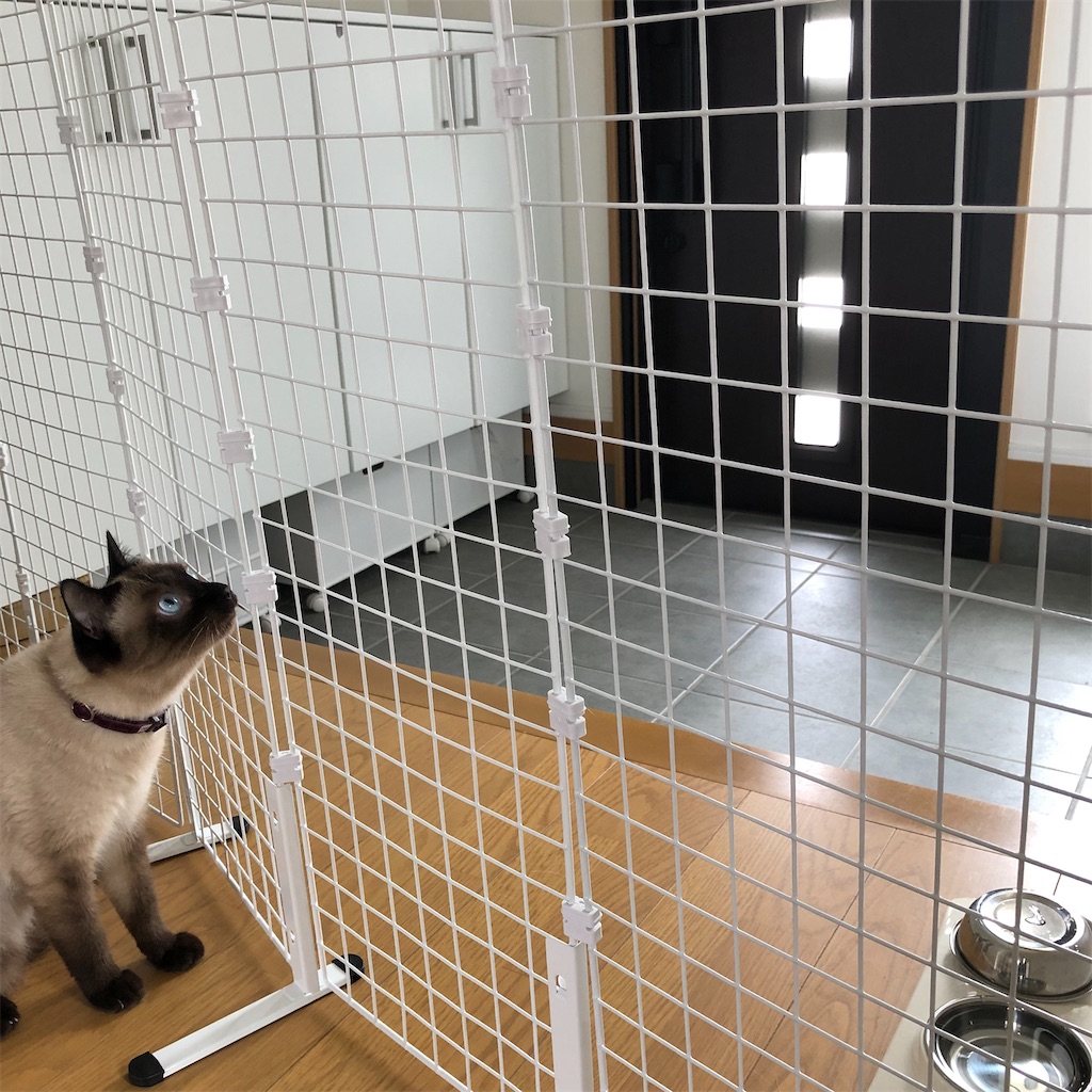 100均だけで猫の脱走防止柵作り☆作業時間30分♪ - nonomaの快適