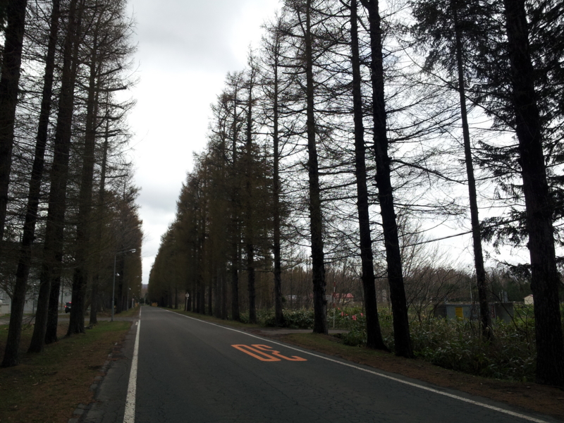 f:id:nano_suimenka:20130512095146j:image:w360 f:id:nano_suimenka:20130512095146j:image:w360