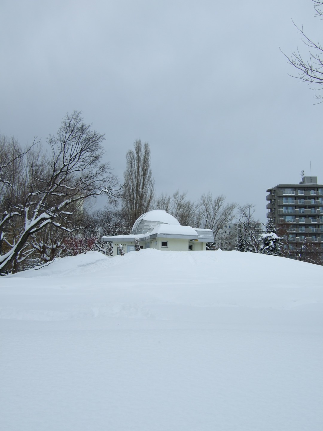 f:id:nanoha3:20090208005749j:image f:id:nanoha3:20090208005749j:image