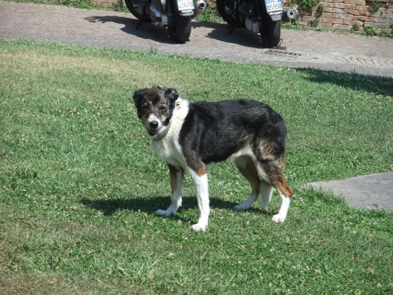 f:id:nanoha3:20100717220729j:image f:id:nanoha3:20100717220729j:image