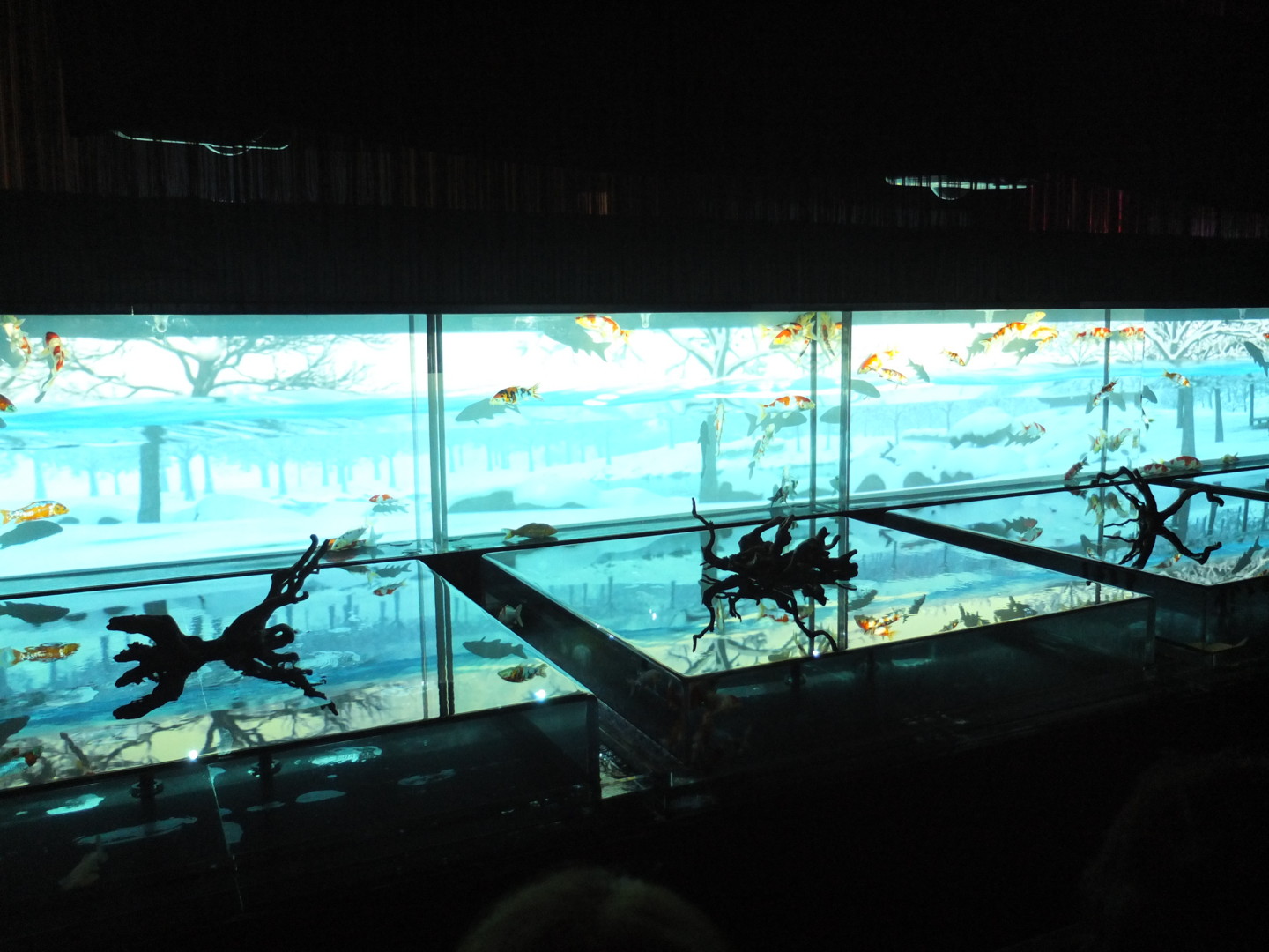 f:id:nanoha3:20130724114822j:image