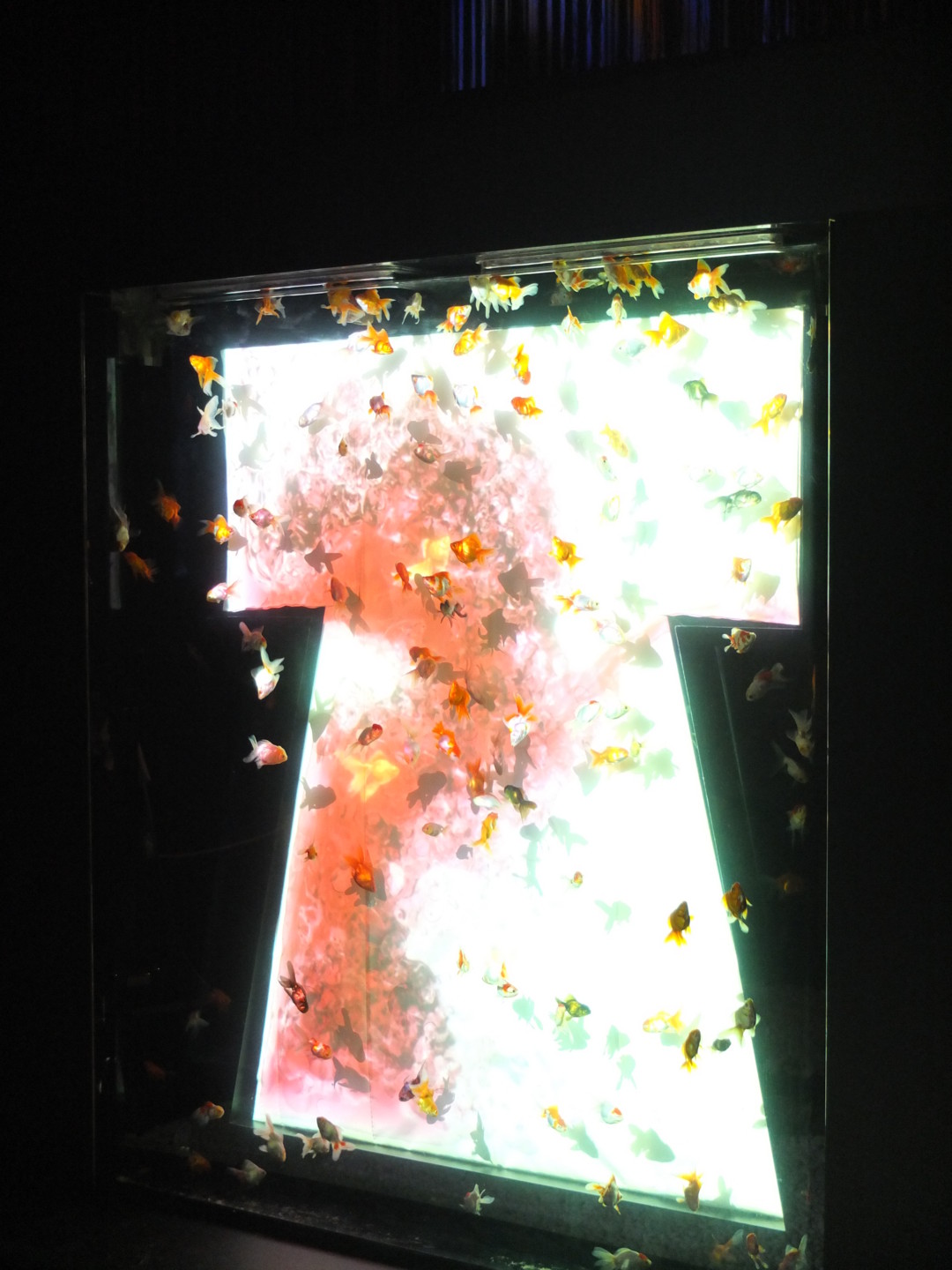 f:id:nanoha3:20130724115213j:image