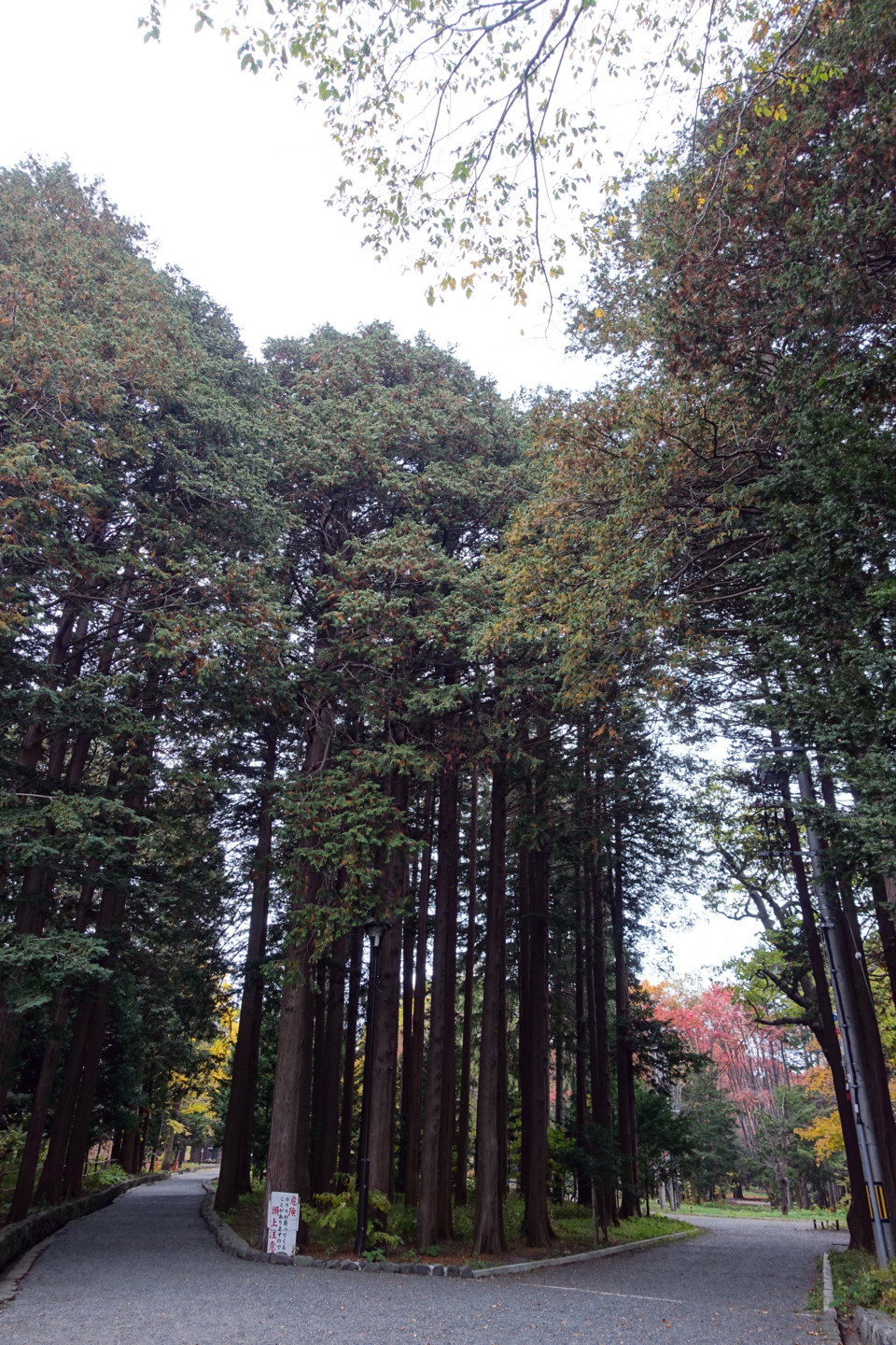 f:id:nanoha3:20141020120257j:image f:id:nanoha3:20141020120257j:image