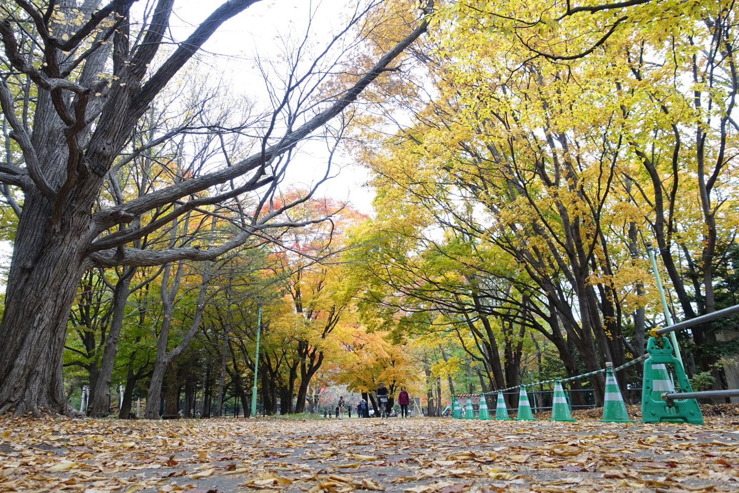f:id:nanoha3:20141020121050j:image f:id:nanoha3:20141020121050j:image