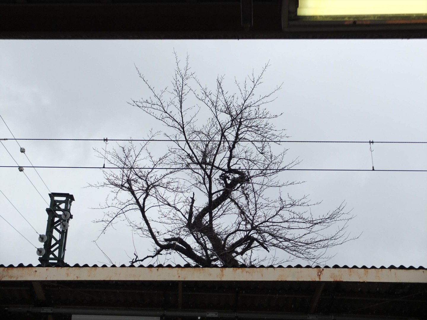 f:id:nanoha3:20141229224204j:image