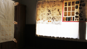 f:id:nanohak:20121008124049j:image