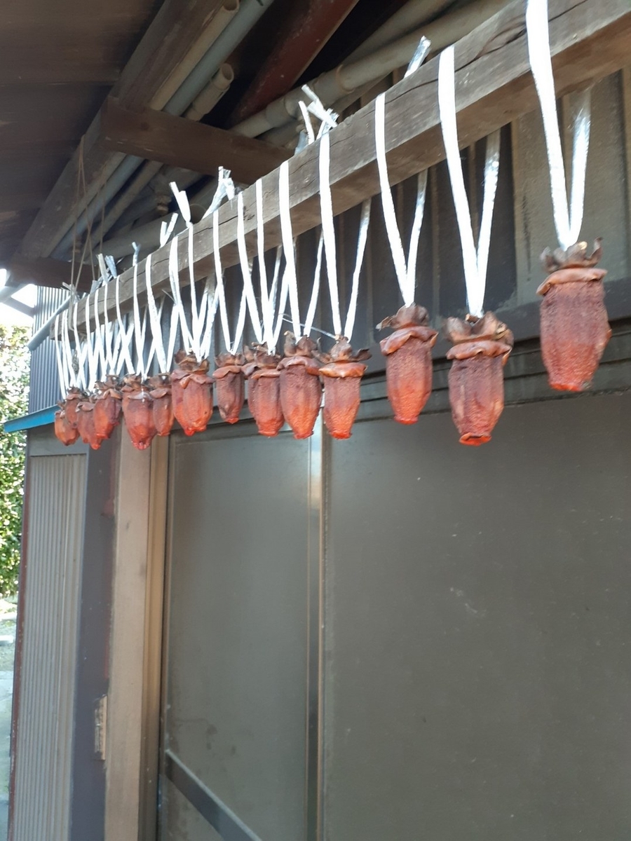 f:id:nanohana-sumai:20191205171406j:plain f:id:nanohana-sumai:20191205171406j:plain