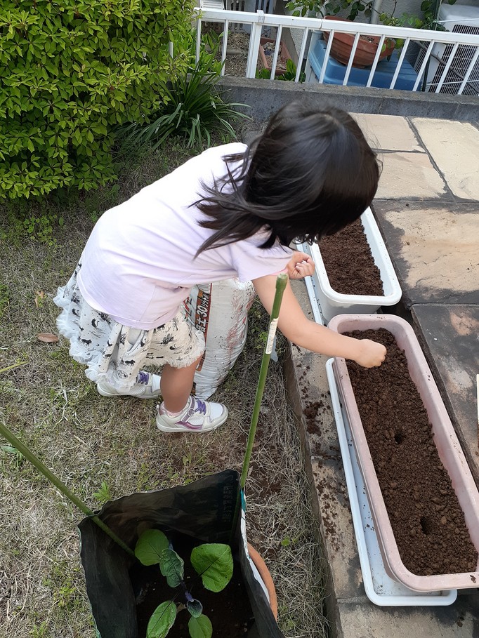 f:id:nanohana-sumai:20200511104932j:plain