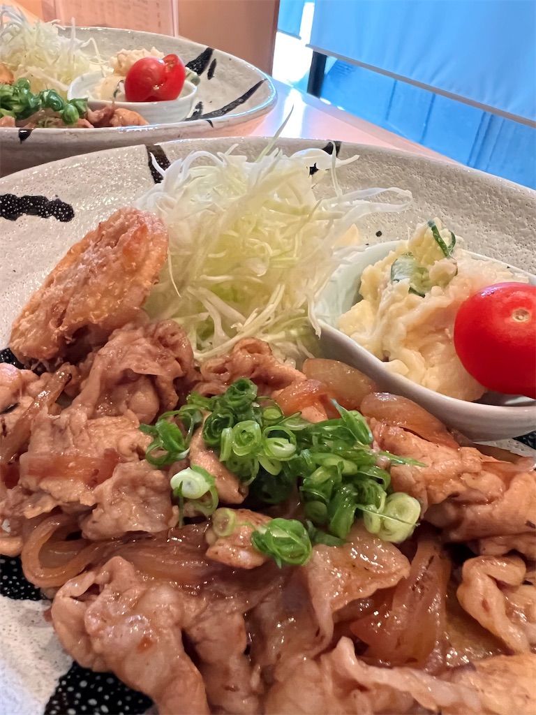f:id:nanohana2000:20230424120738j:image