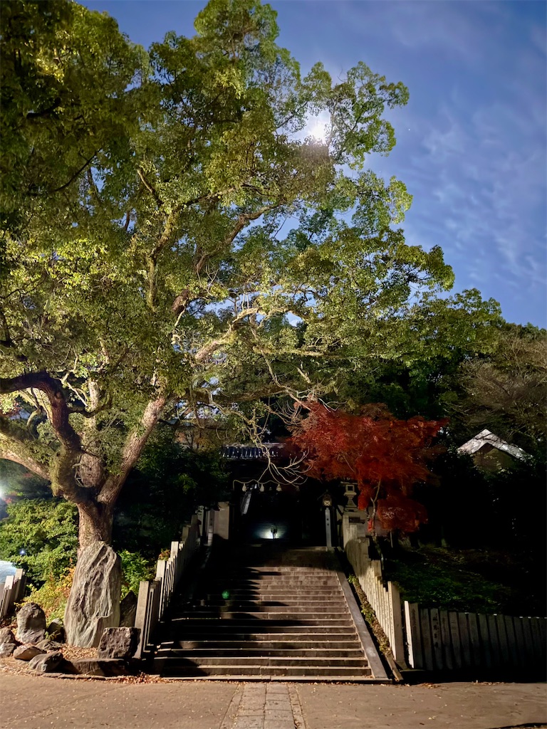 f:id:nanohana2000:20251208074253j:image