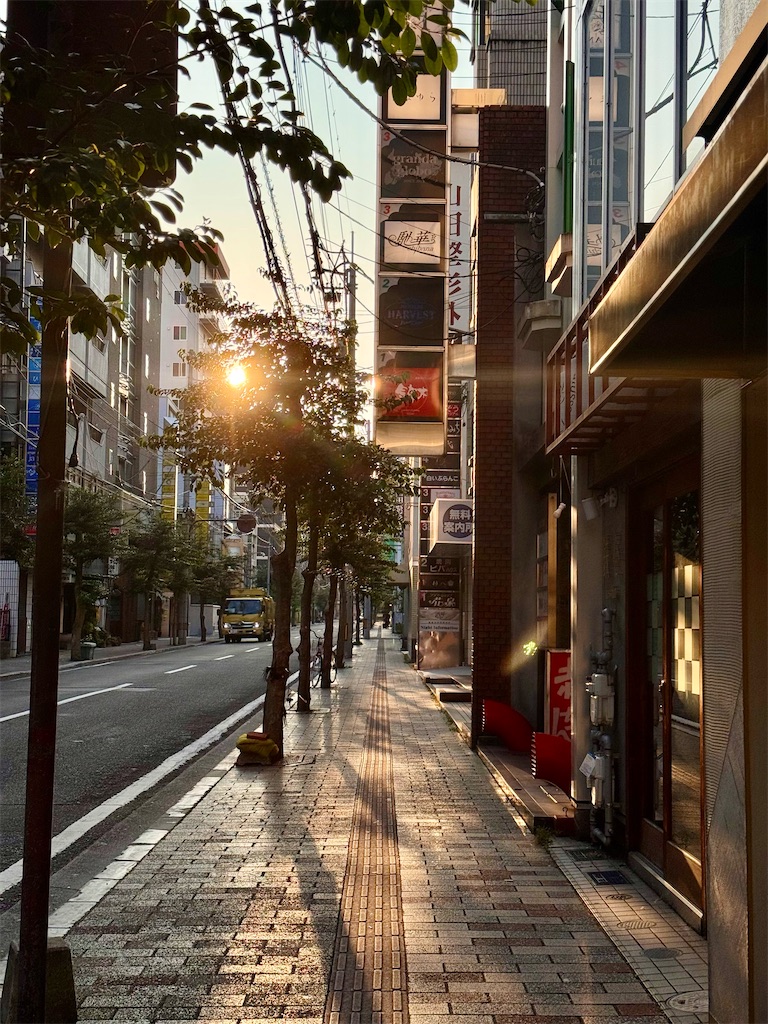 f:id:nanohana2000:20260831070959j:image