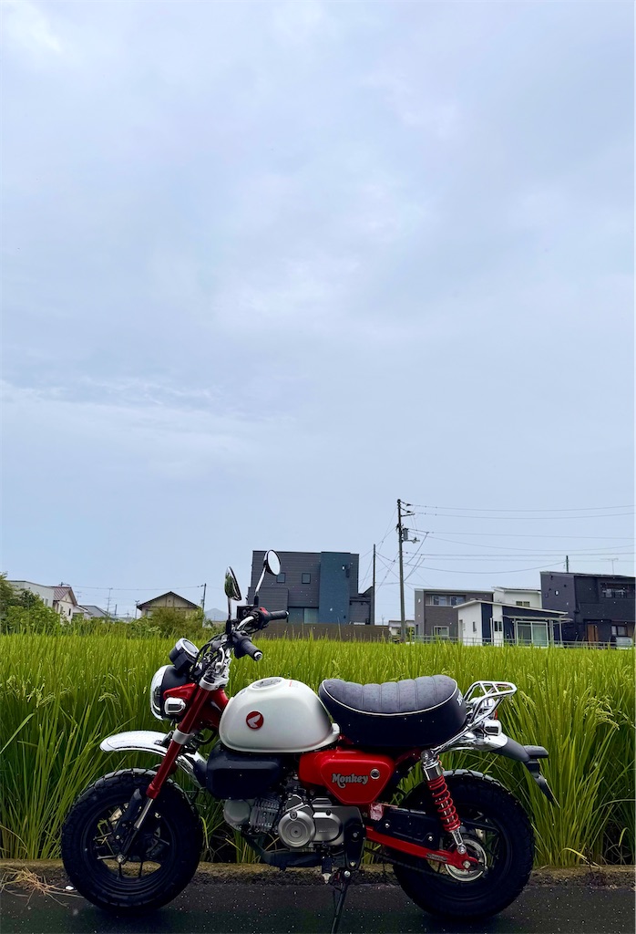 f:id:nanohana2000:20260904092029j:image