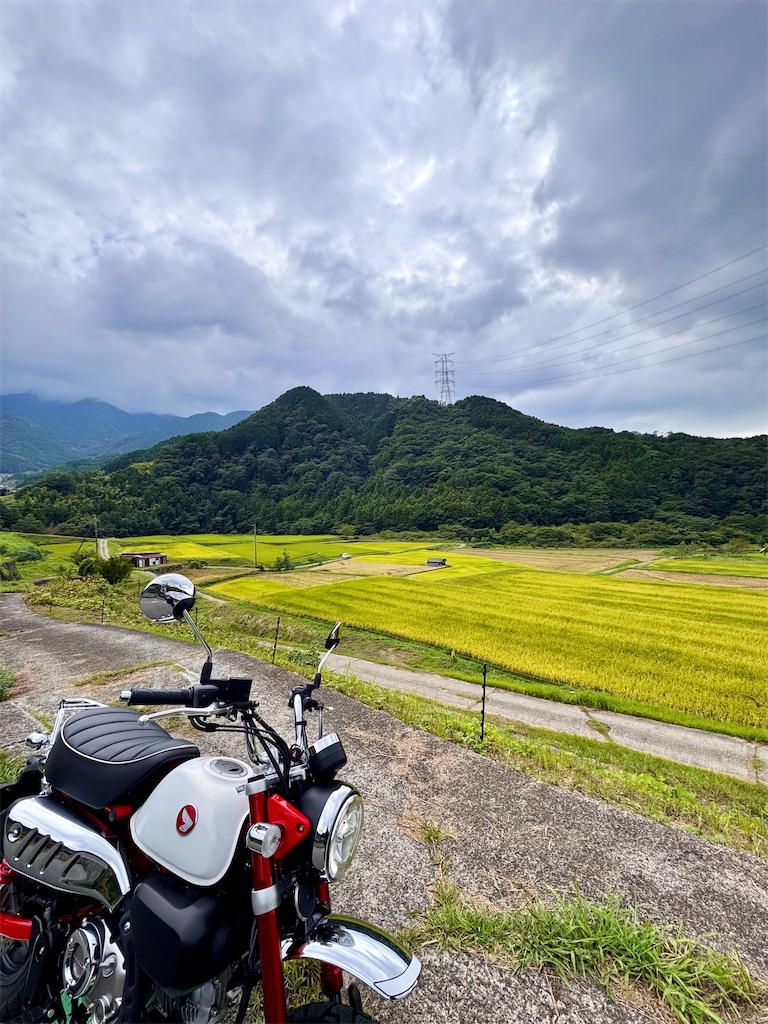 f:id:nanohana2000:20260907134705j:image