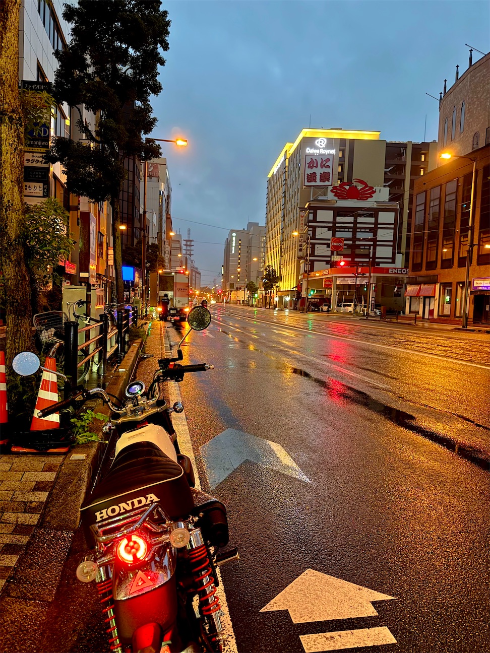 f:id:nanohana2000:20261005065547j:image