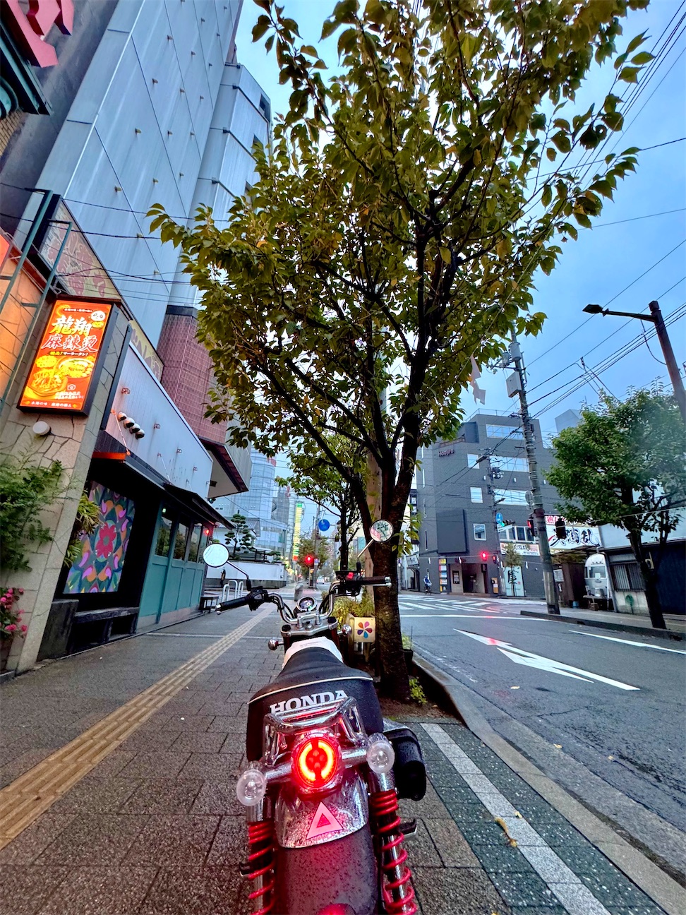 f:id:nanohana2000:20261005065556j:image