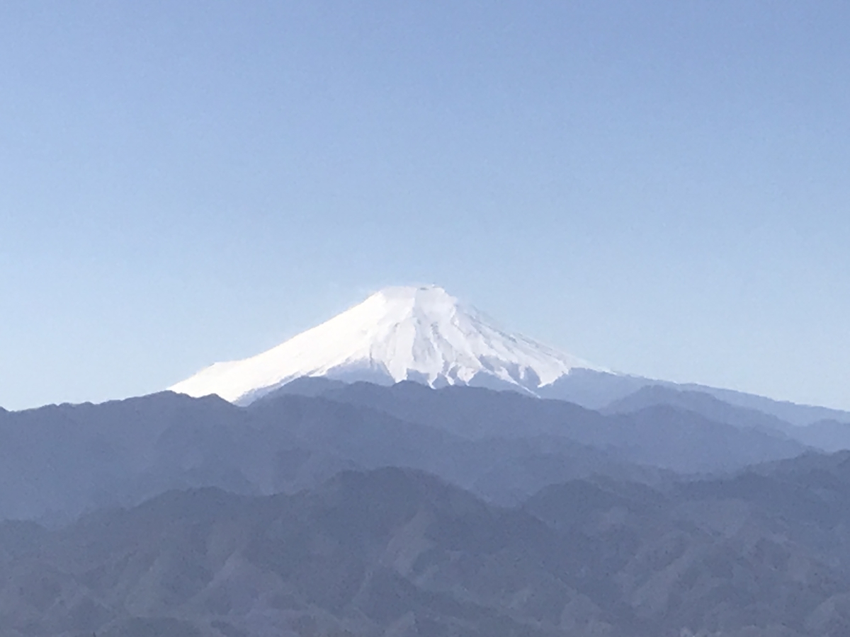 f:id:nanohana33:20200223120246j:plain f:id:nanohana33:20200223120246j:plain