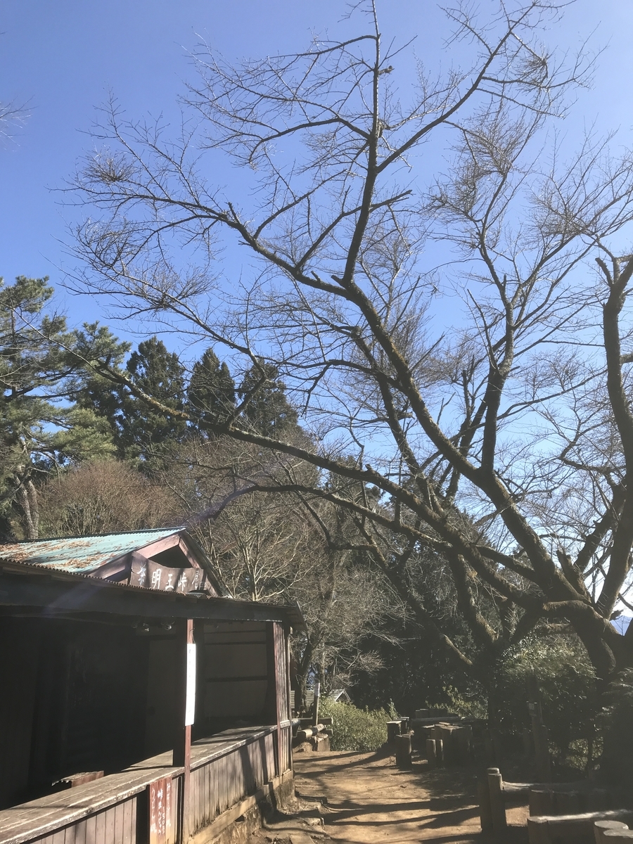 f:id:nanohana33:20200223141716j:plain f:id:nanohana33:20200223141716j:plain
