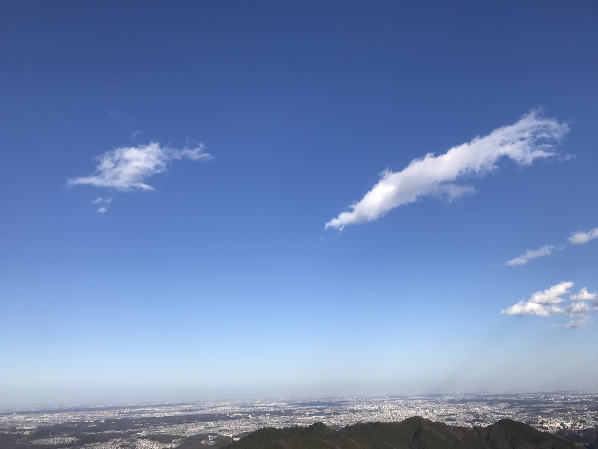 f:id:nanohana33:20200223160131j:plain f:id:nanohana33:20200223160131j:plain
