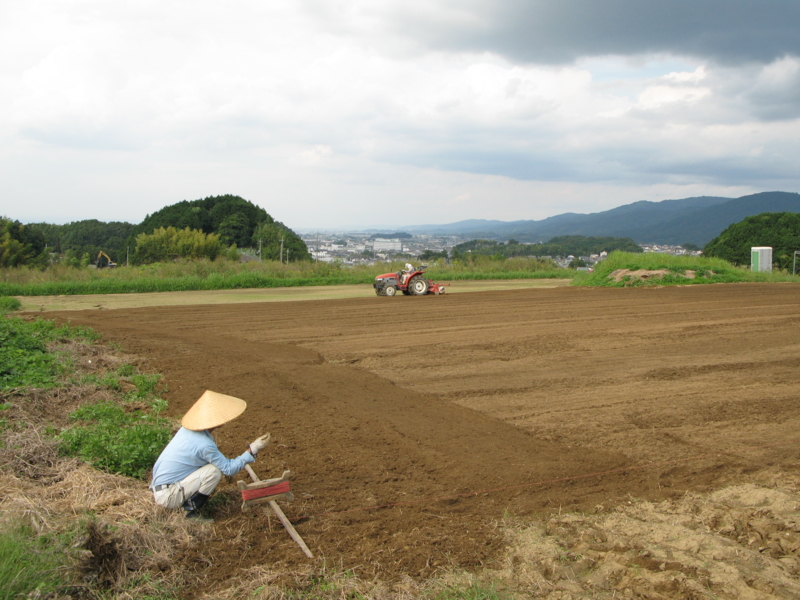 f:id:nanohanasakurai:20121010150153j:image