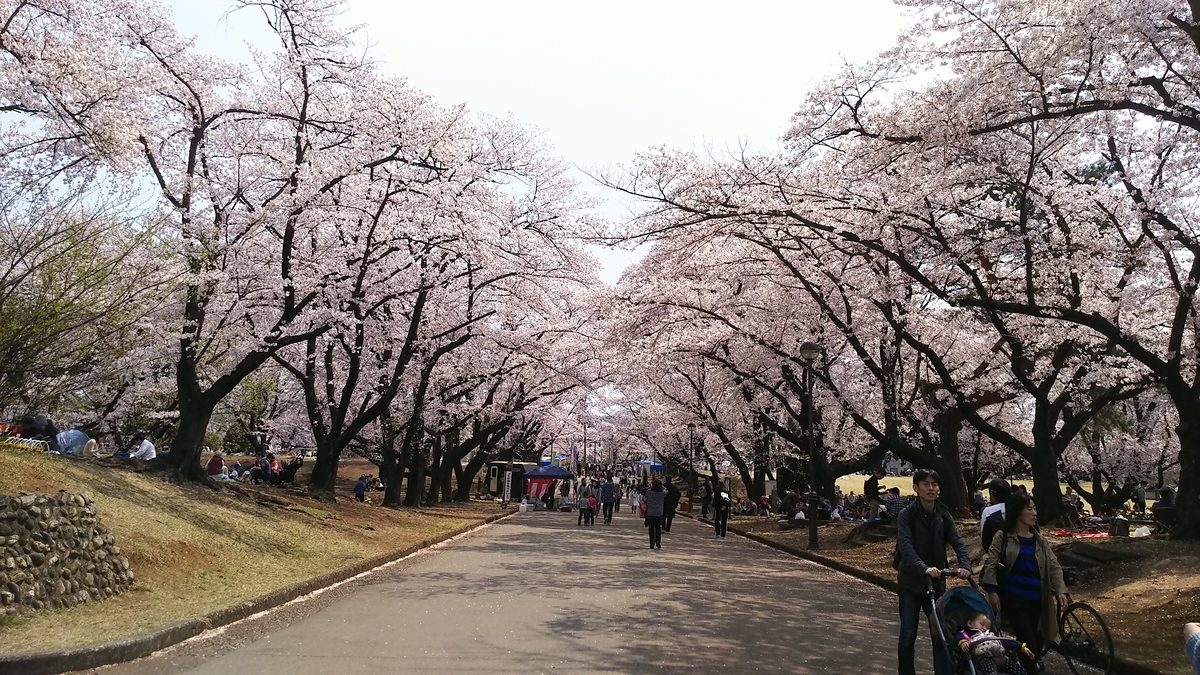 f:id:nanohanaw:20190408225913j:plain