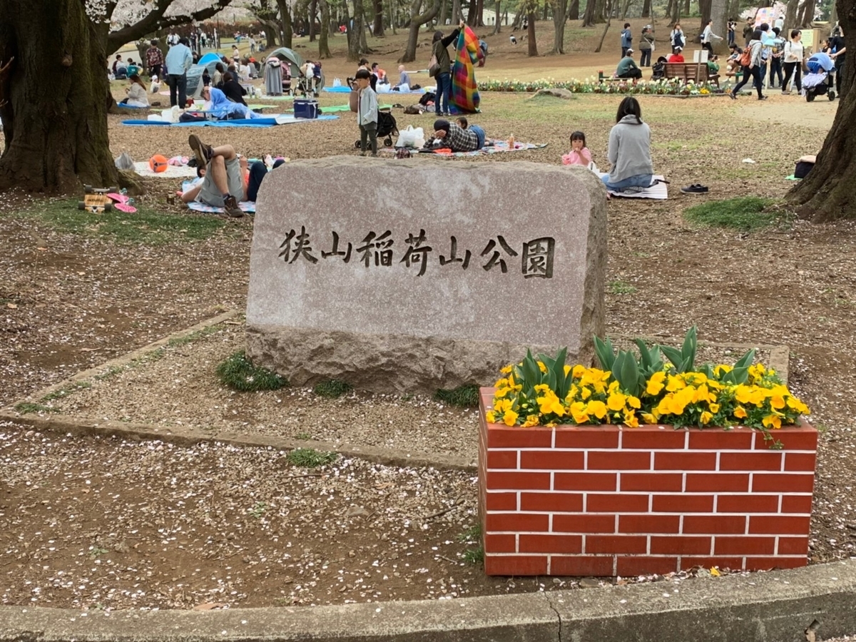 f:id:nanohanaw:20190408230005j:plain