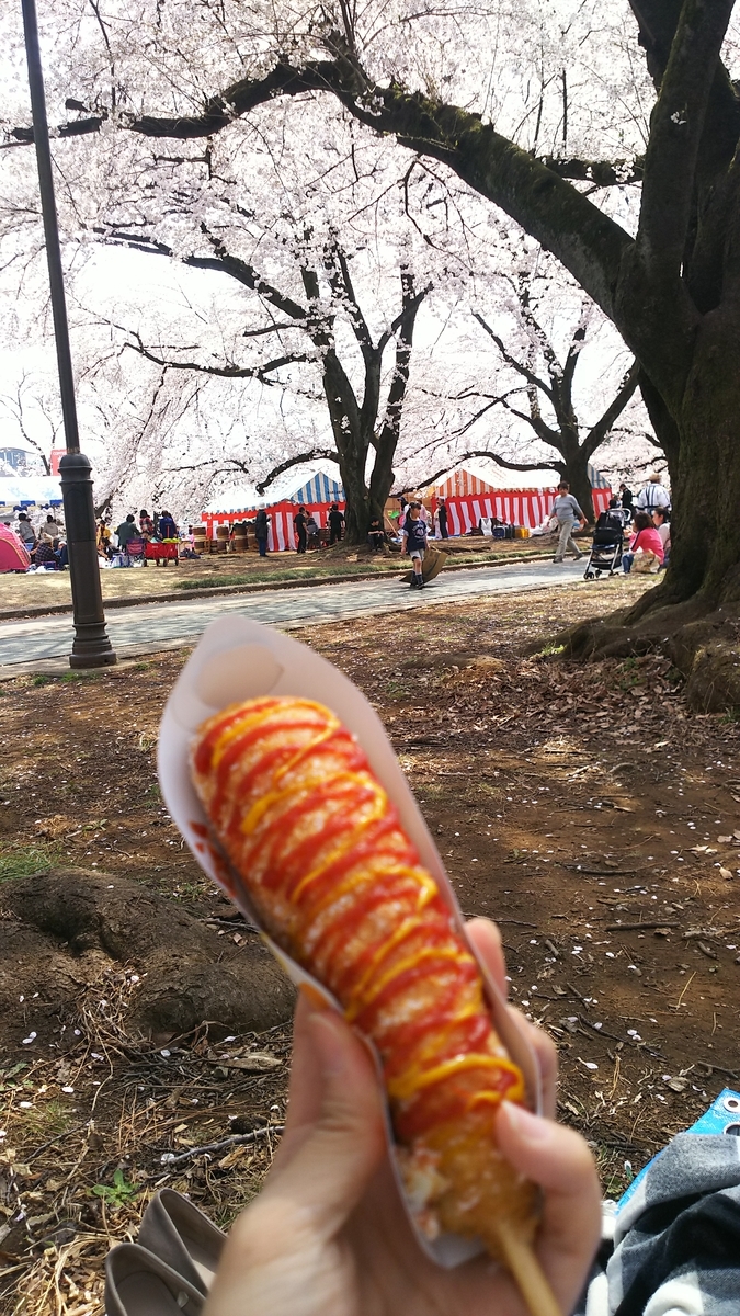 f:id:nanohanaw:20190408230052j:plain
