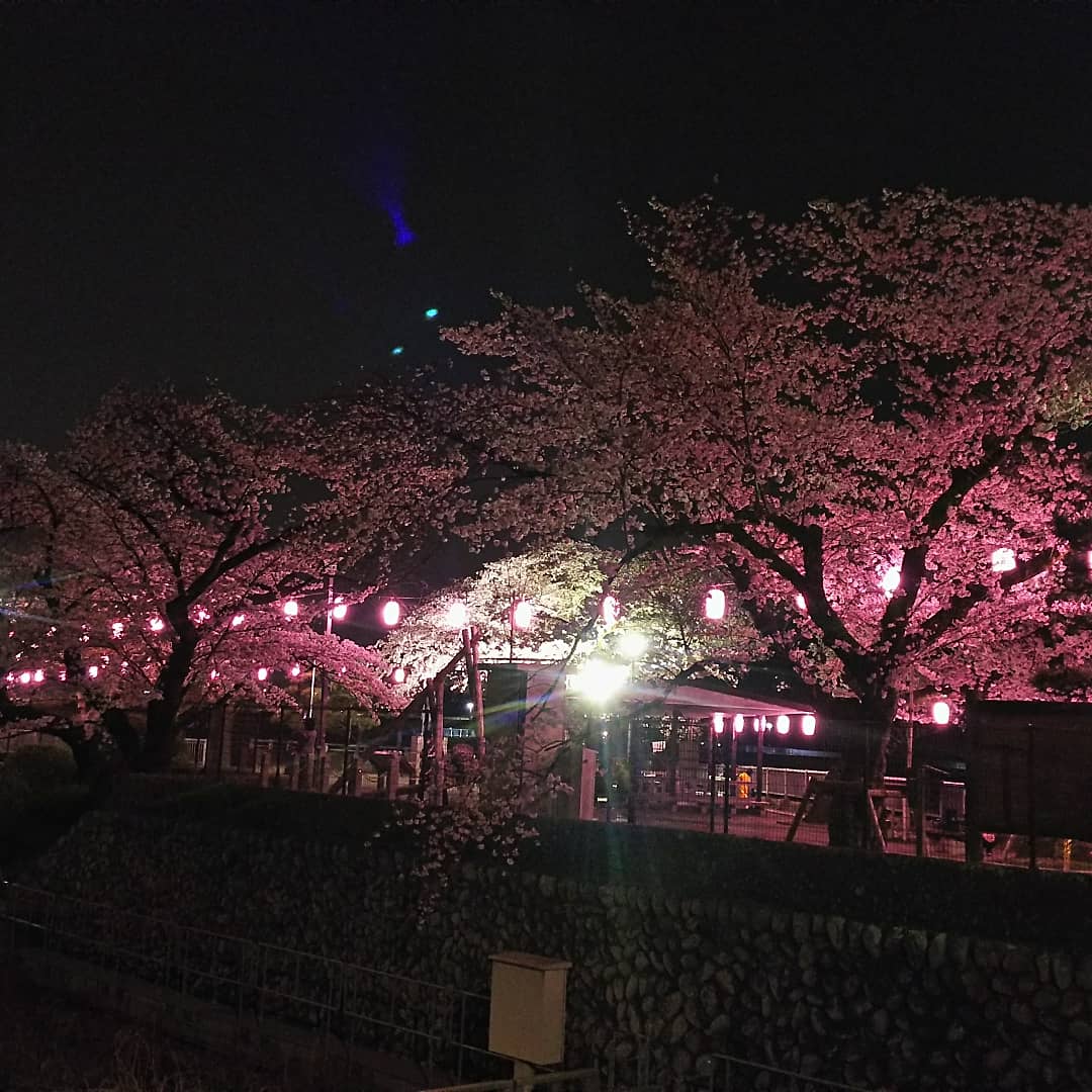 f:id:nanohanaw:20190408231059j:plain