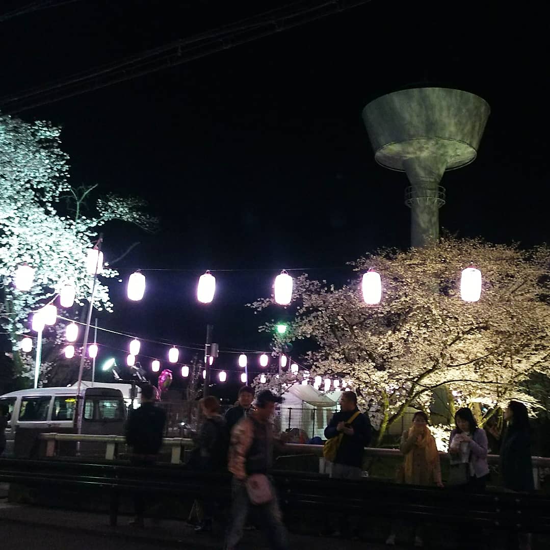 f:id:nanohanaw:20190408231136j:plain