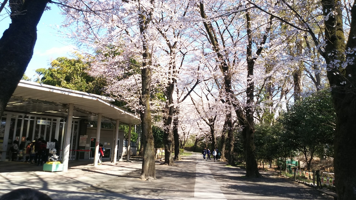 f:id:nanohanaw:20190408232109j:plain
