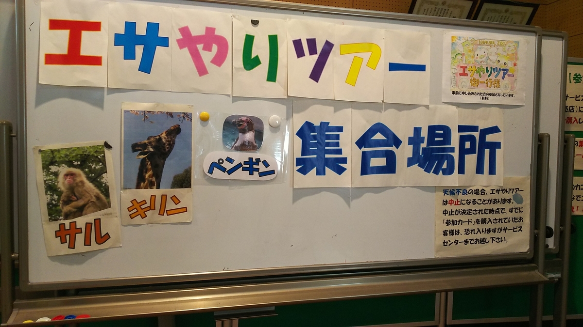 f:id:nanohanaw:20190408232350j:plain