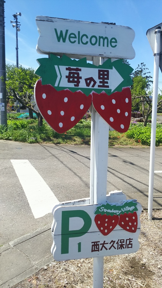 f:id:nanohanaw:20190428212435j:plain
