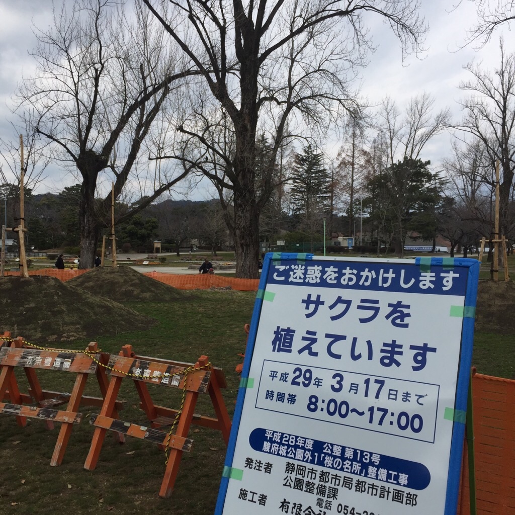 f:id:nanoka222:20170318212329j:image f:id:nanoka222:20170318212329j:image