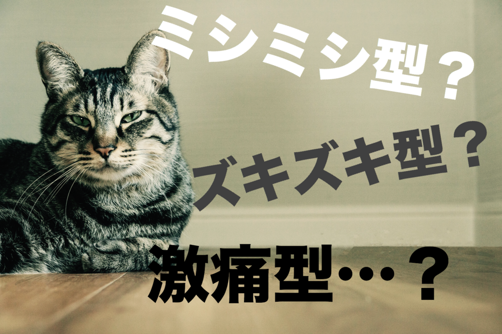 f:id:nanoooo:20180131160333p:plain f:id:nanoooo:20180131160333p:plain