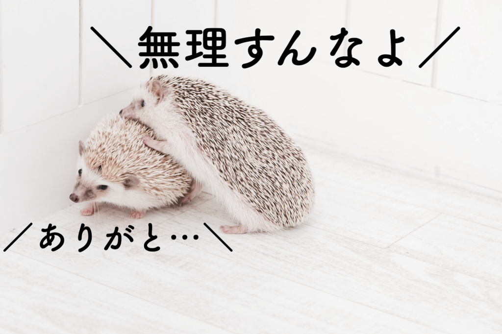 f:id:nanoooo:20180131160529p:plain f:id:nanoooo:20180131160529p:plain