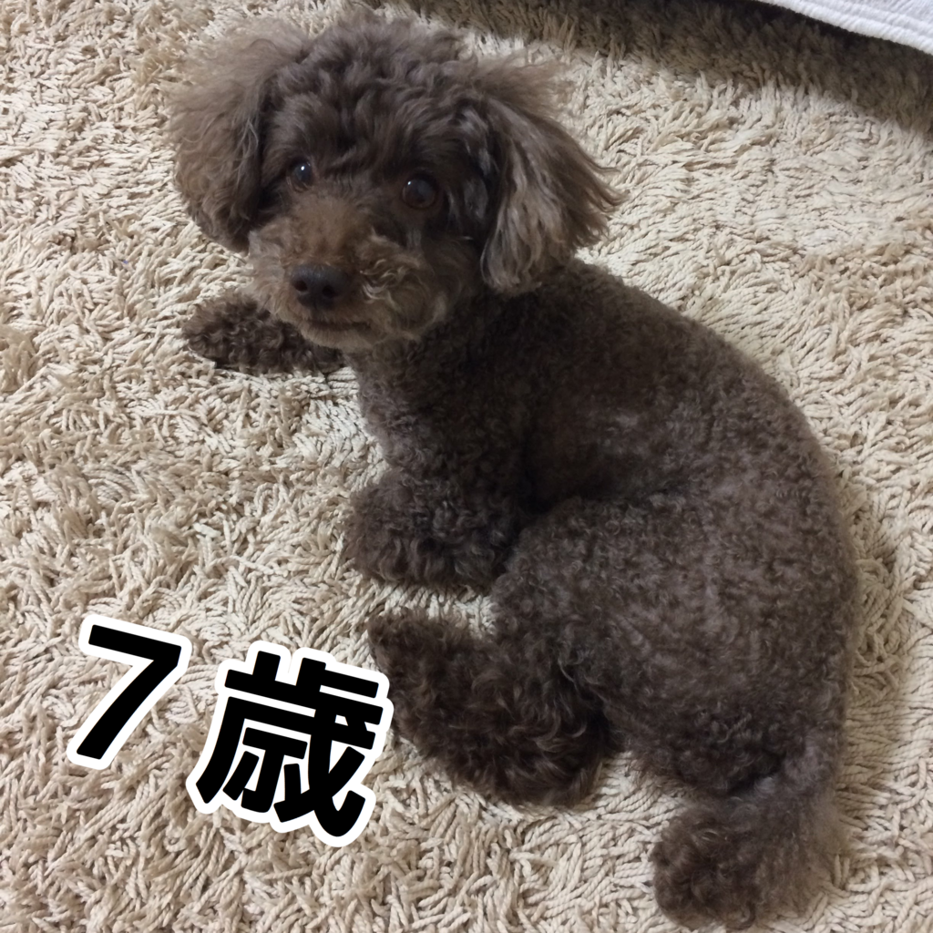 f:id:nanoooo:20180203111713p:plain f:id:nanoooo:20180203111713p:plain