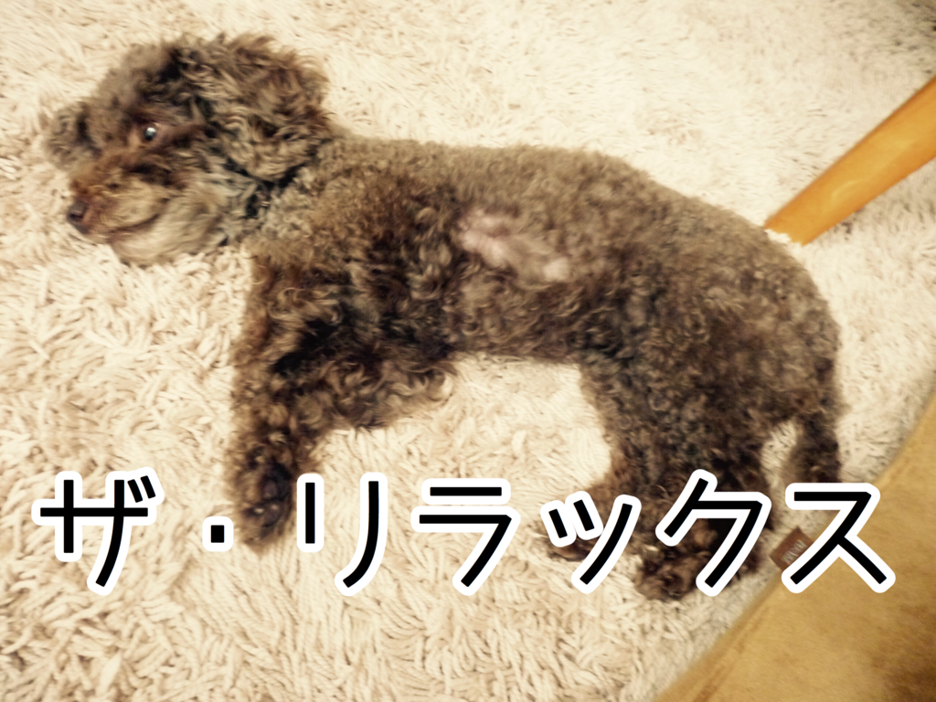 f:id:nanoooo:20180208204641p:plain f:id:nanoooo:20180208204641p:plain