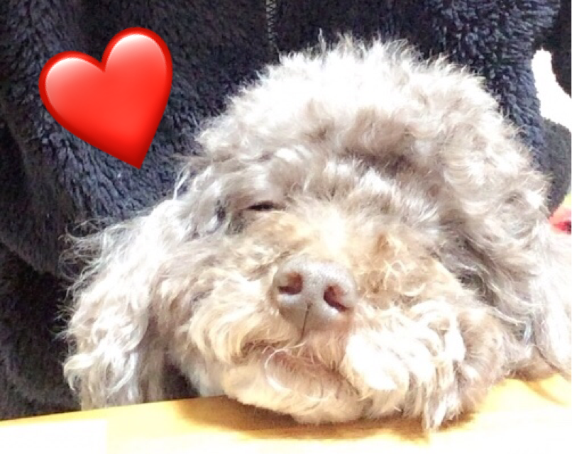 f:id:nanoooo:20180208205430p:plain f:id:nanoooo:20180208205430p:plain