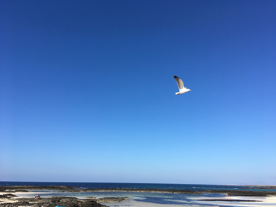 f:id:nanoooo:20180315232040j:plain f:id:nanoooo:20180315232040j:plain